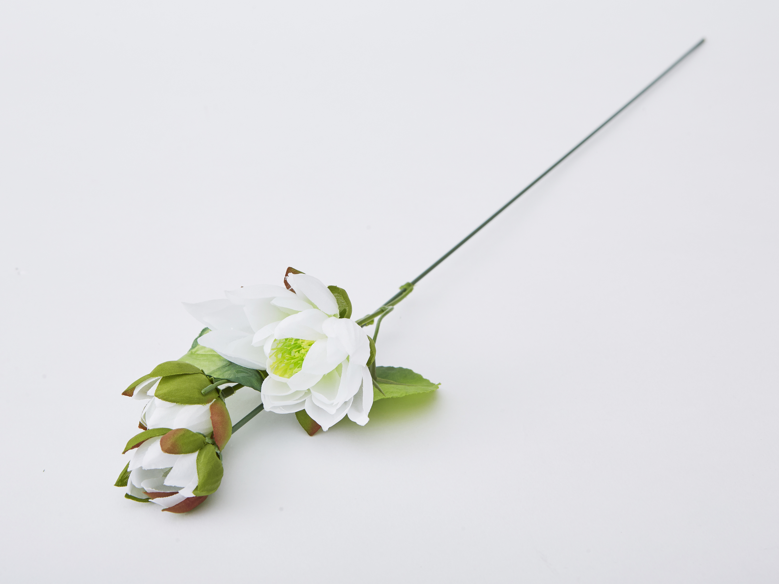 持花（蓮）