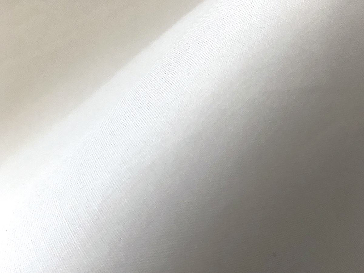 白フインクス着物
